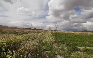 روستای لادیز